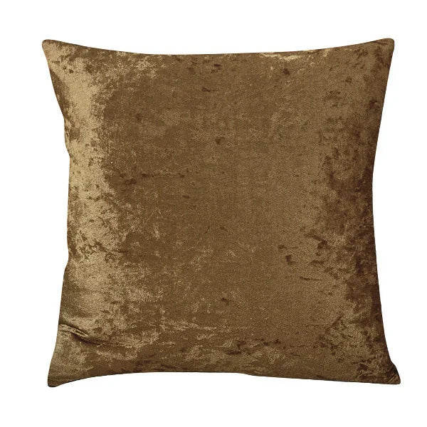 Velvet Throw Pillow