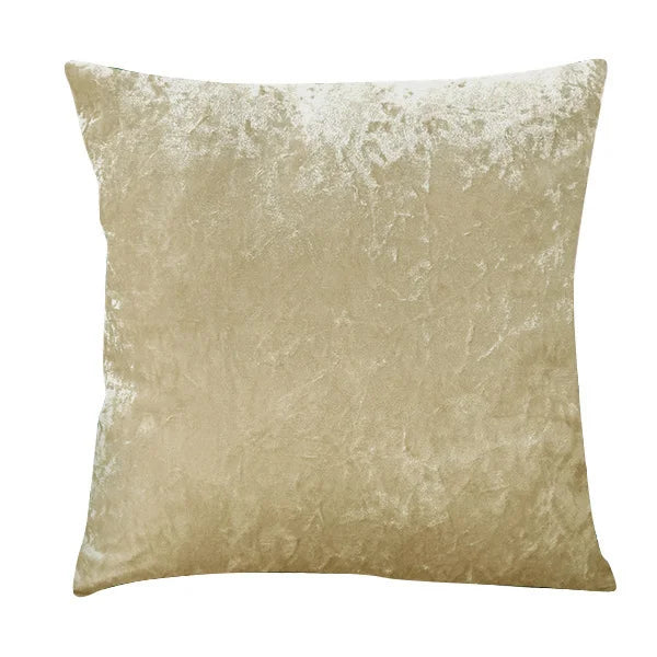 Velvet Throw Pillow